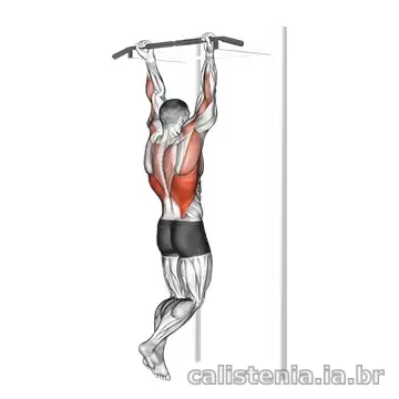 Execução do exercício Chin-up