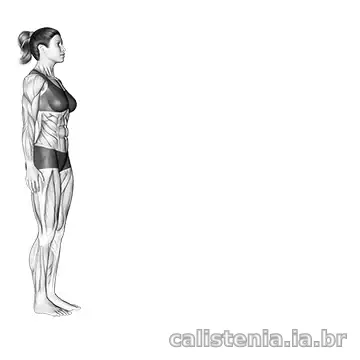 Execução do exercício Flexão de braço