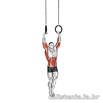Execução do exercício Muscle-up