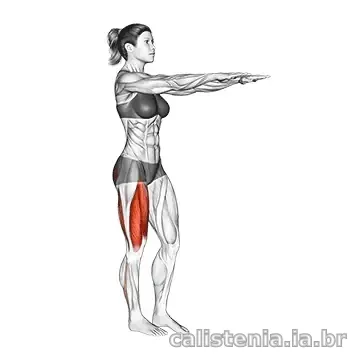 Execução do exercício Pistol squat