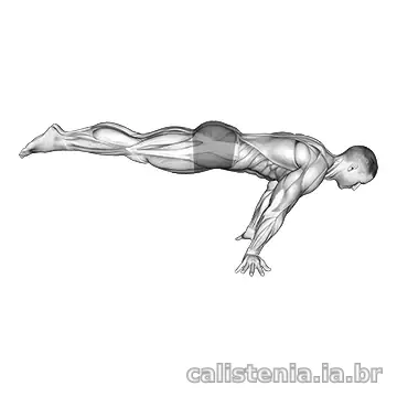 Execução do exercício Planche