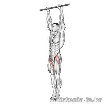 Execução do exercício Abdominal infra