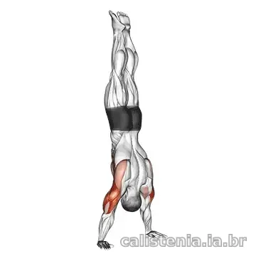 Execução do exercício Handstand push-up